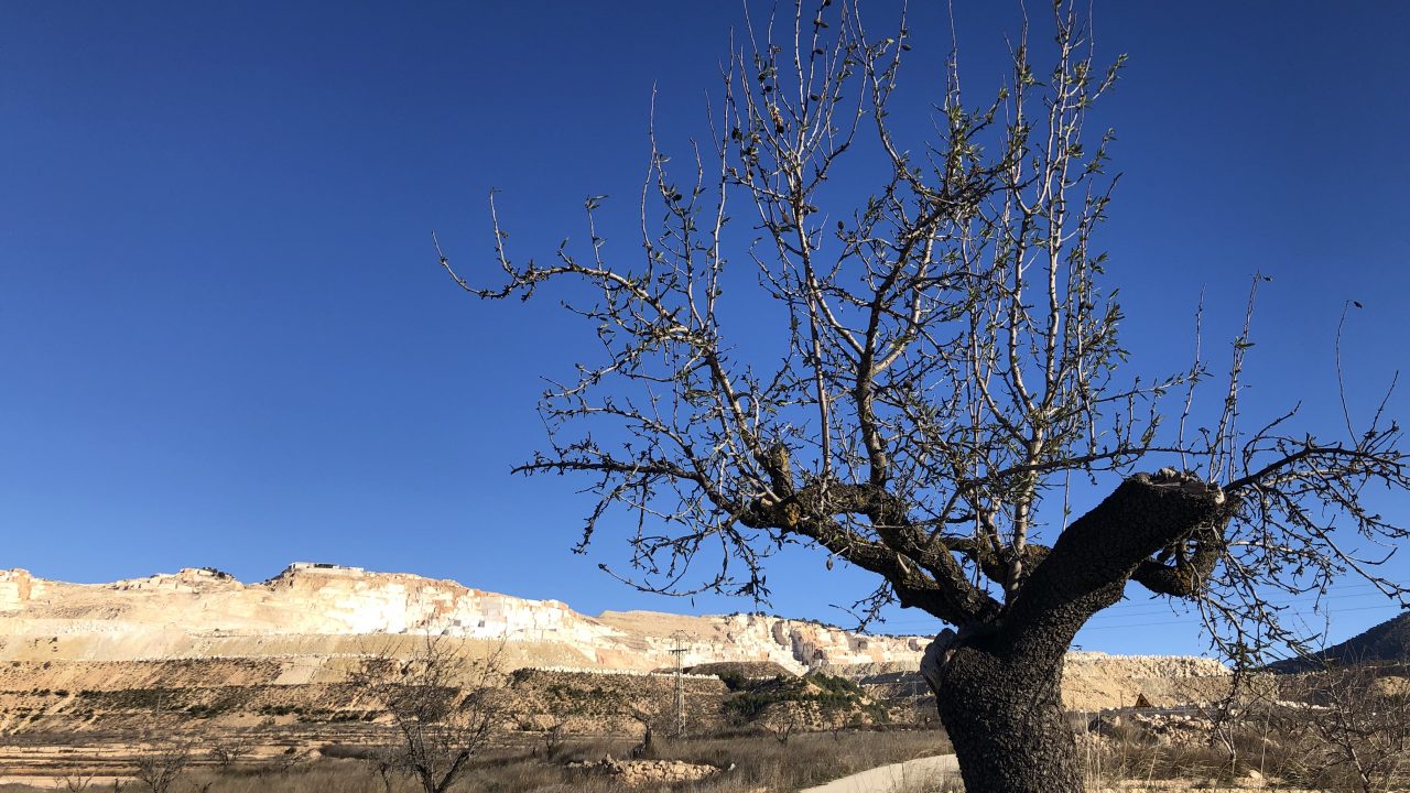Fotograma de Bajo las piedras