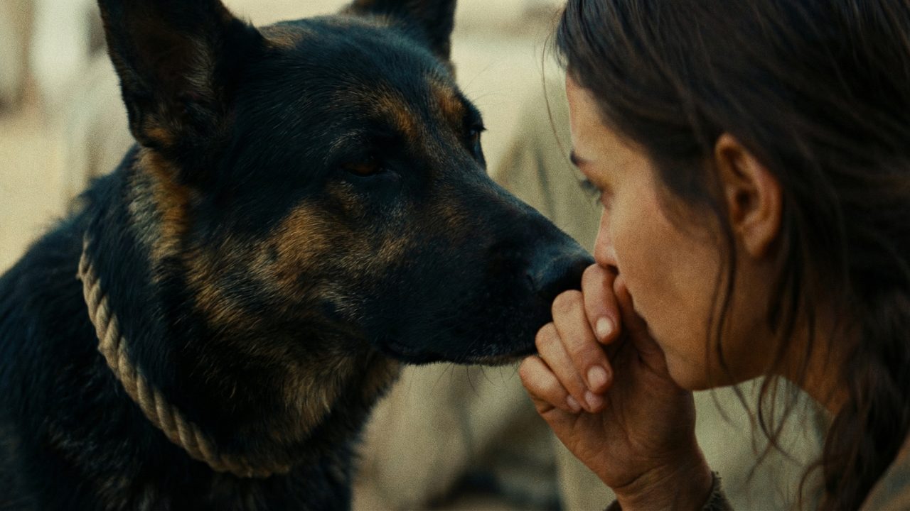 Fotograma de Y una vida y un perro